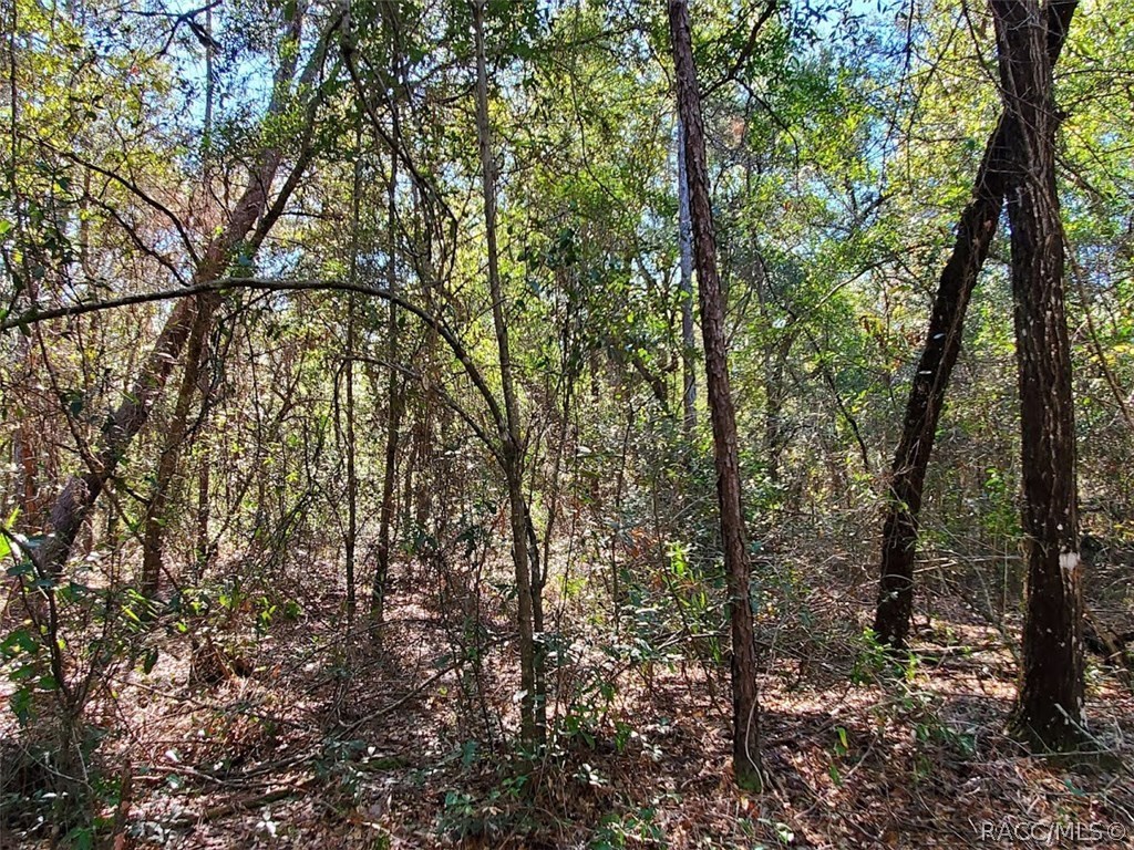 7252 W Contentment Lane