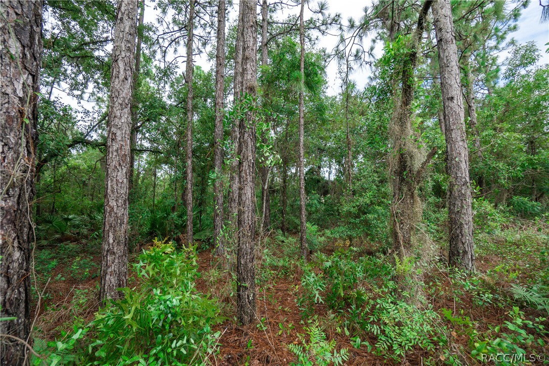 6224 W Glory Hill Street