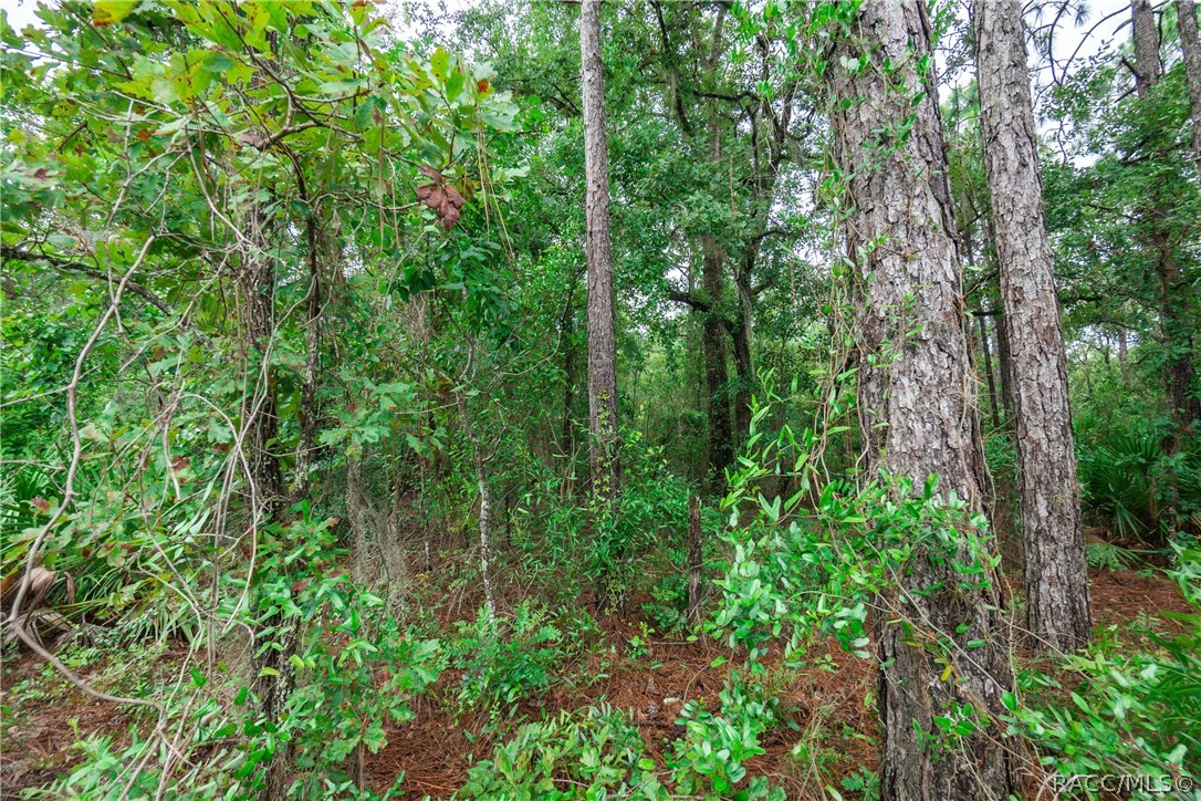 6224 W Glory Hill Street