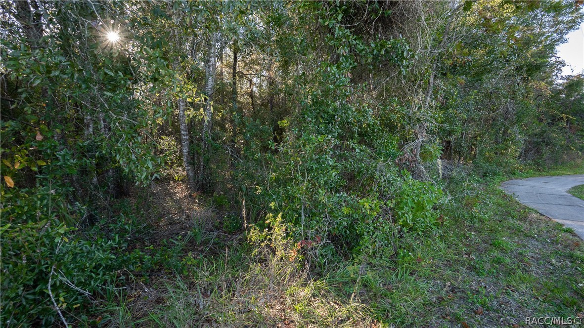 4164 W Gulf To Lake Highway