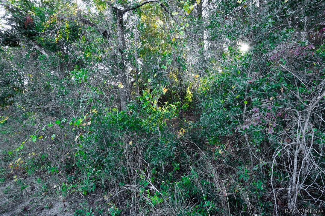 4164 W Gulf To Lake Highway