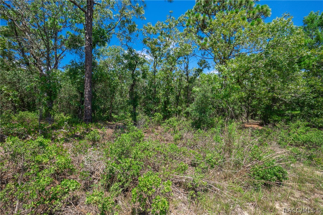 6272 N Fentress Terrace