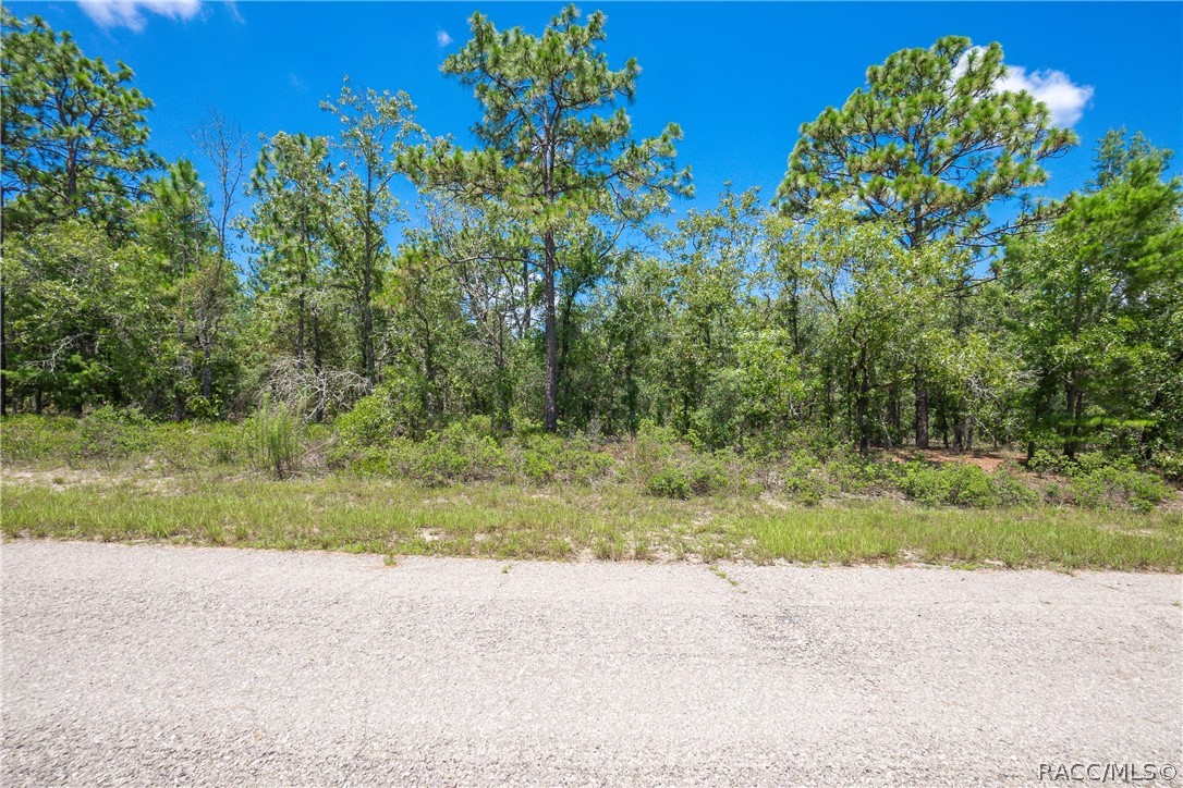 6272 N Fentress Terrace