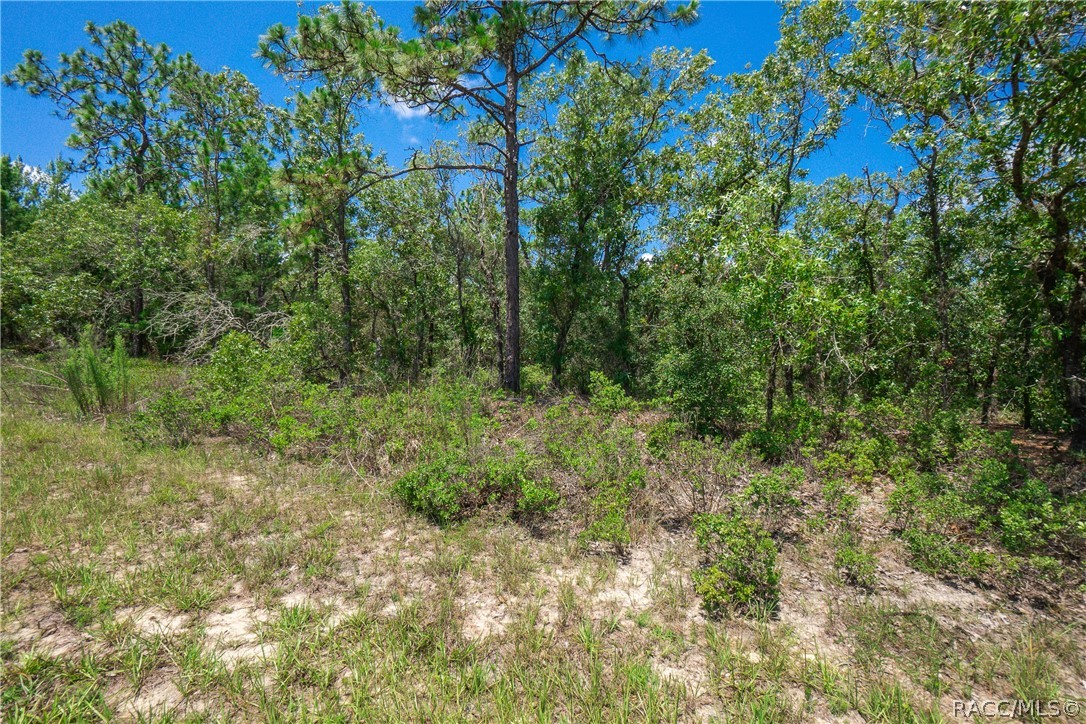 6272 N Fentress Terrace