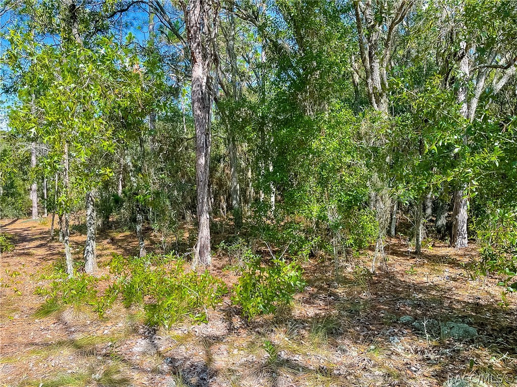 3552 N Eisenhower Avenue