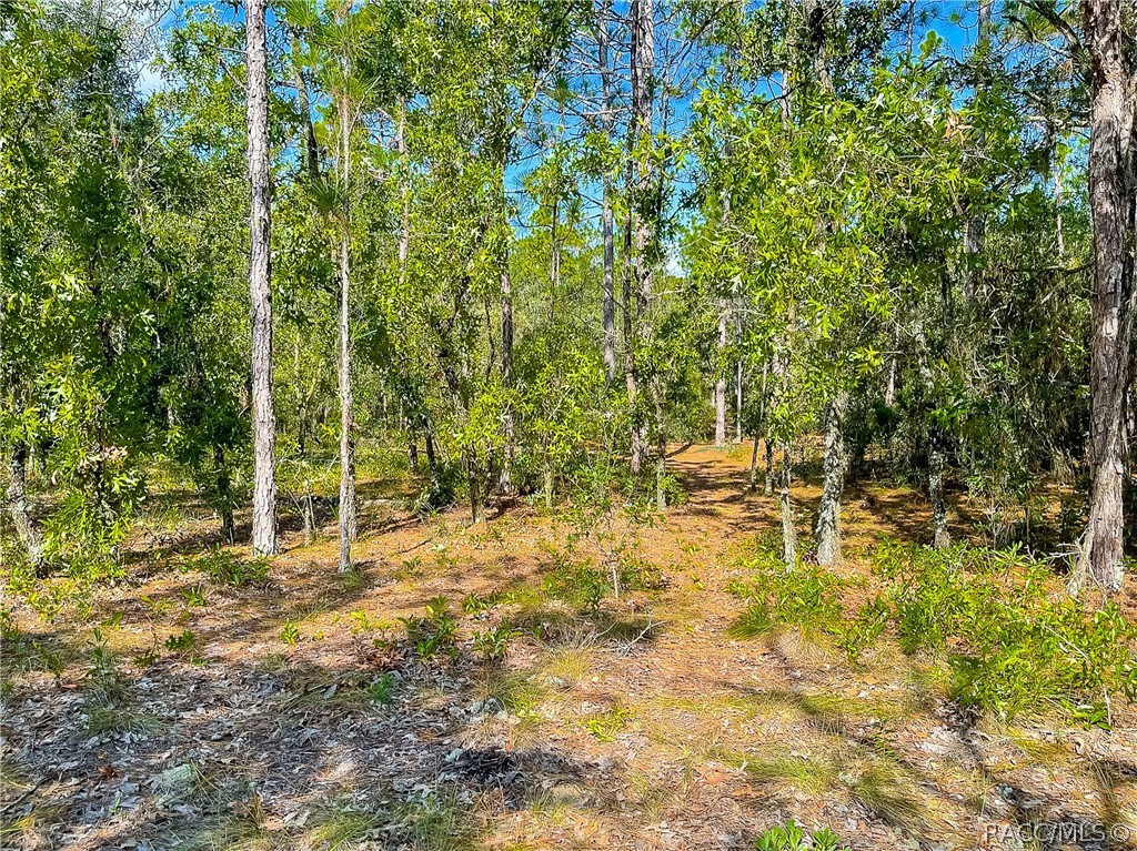 3552 N Eisenhower Avenue