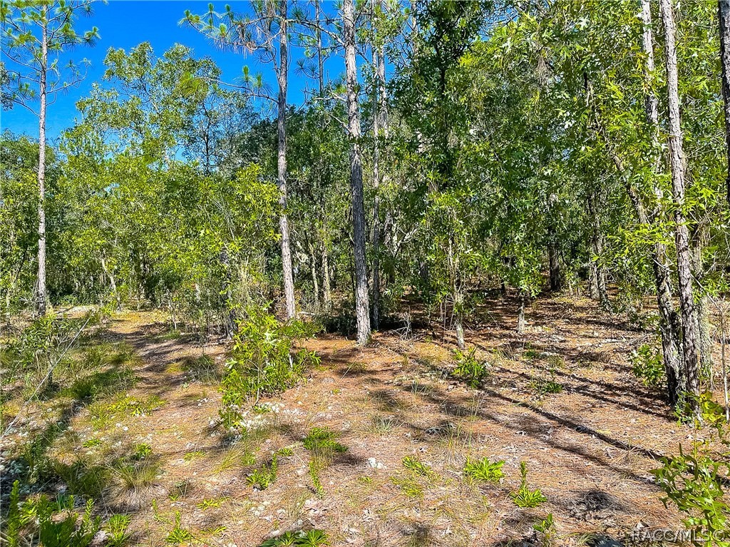 3552 N Eisenhower Avenue