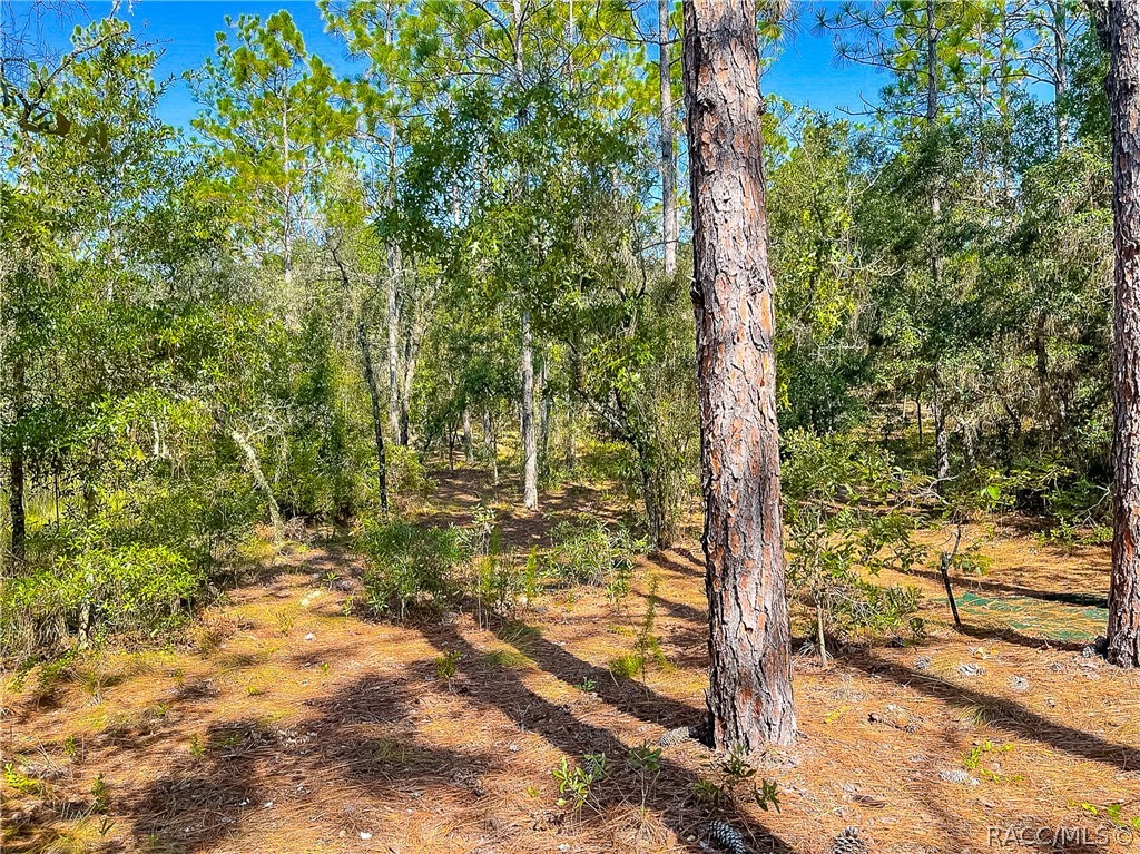 3552 N Eisenhower Avenue