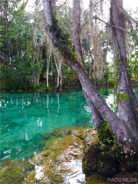 8574 N Catapane Loop