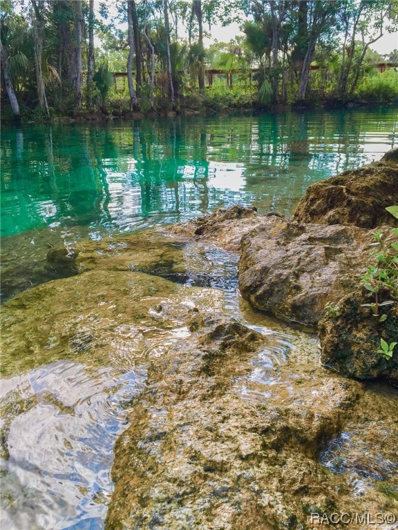 8574 N Catapane Loop