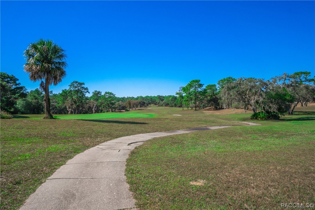 4117 N Saddletree Drive