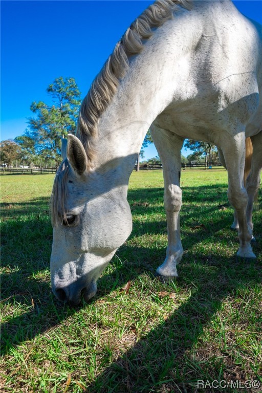 4117 N Saddletree Drive