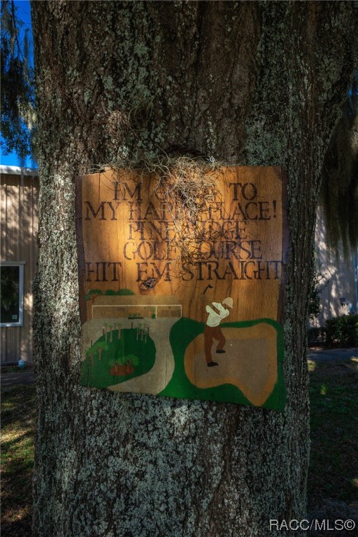 4117 N Saddletree Drive