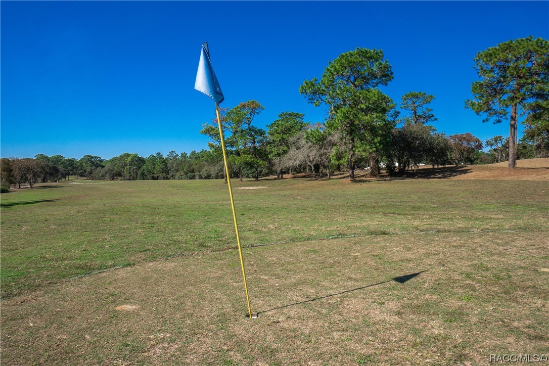 4117 N Saddletree Drive