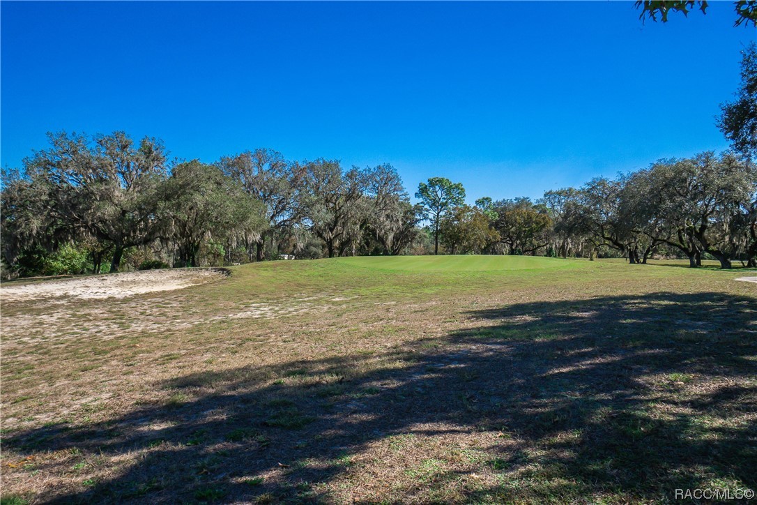 4117 N Saddletree Drive