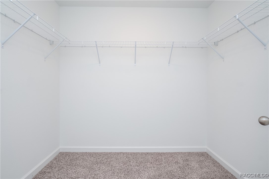 4117 N Saddletree Drive