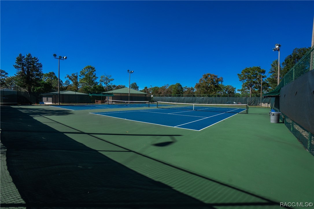 4117 N Saddletree Drive