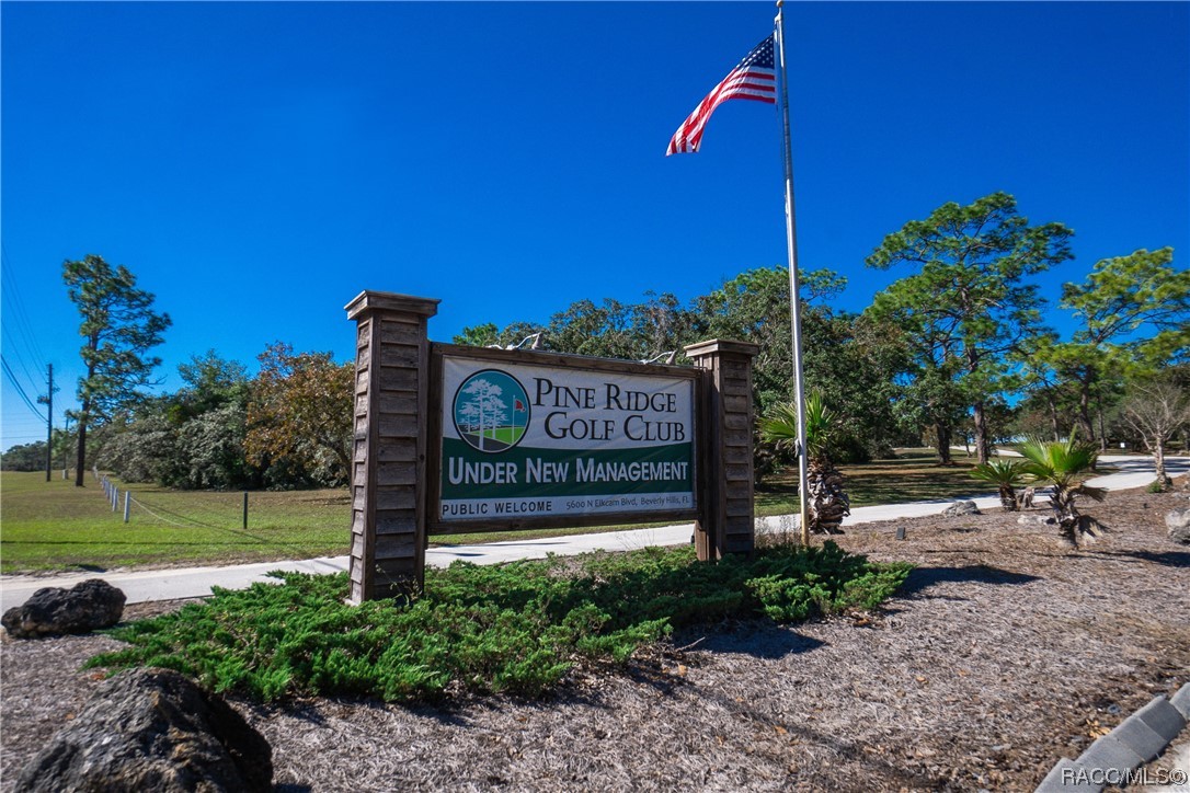 4117 N Saddletree Drive