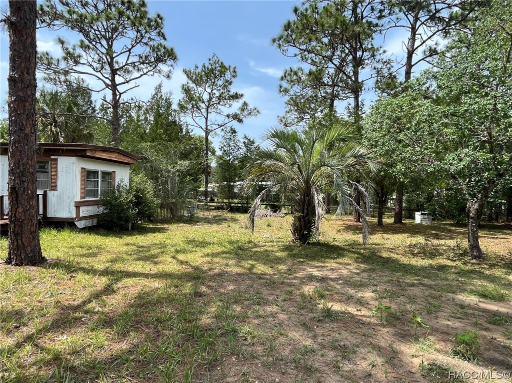 1071 E Van Gogh Court