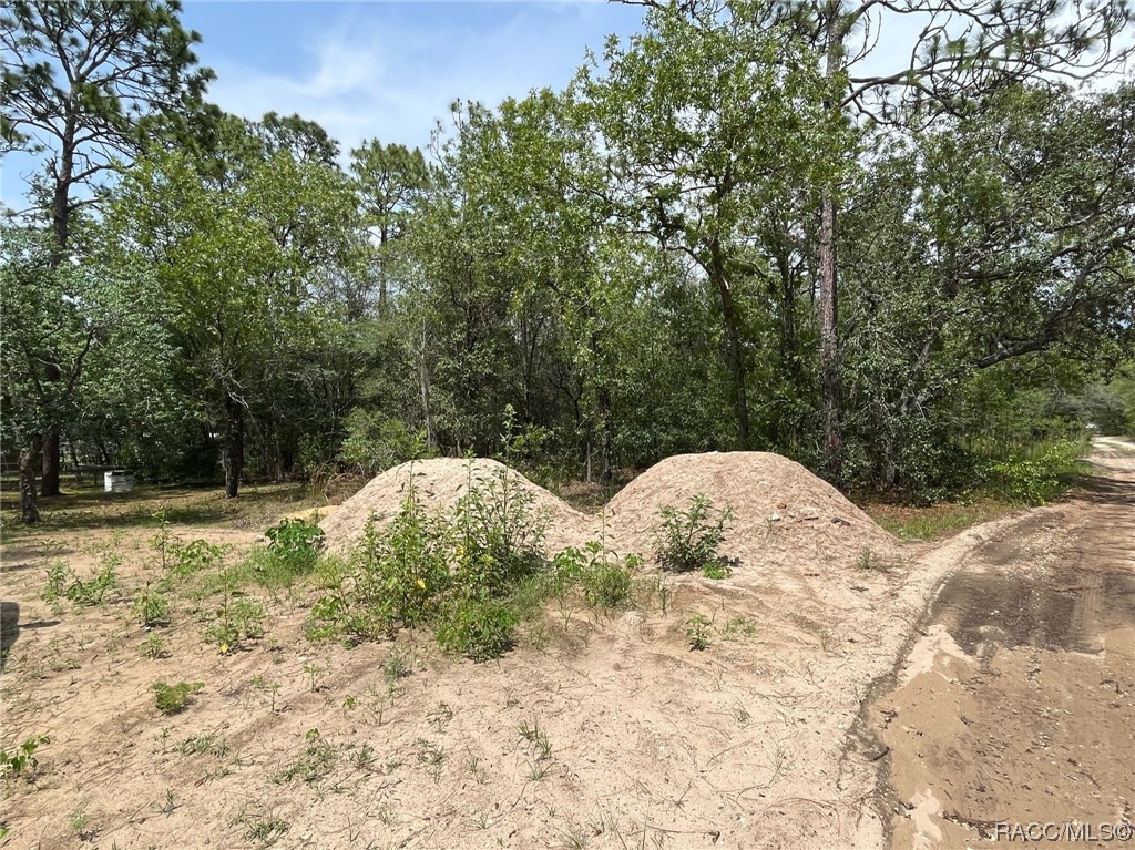 1071 E Van Gogh Court