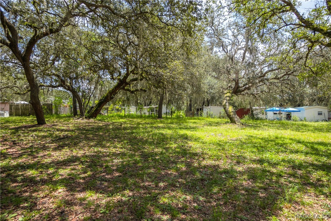 6911 S Withlapopka Drive