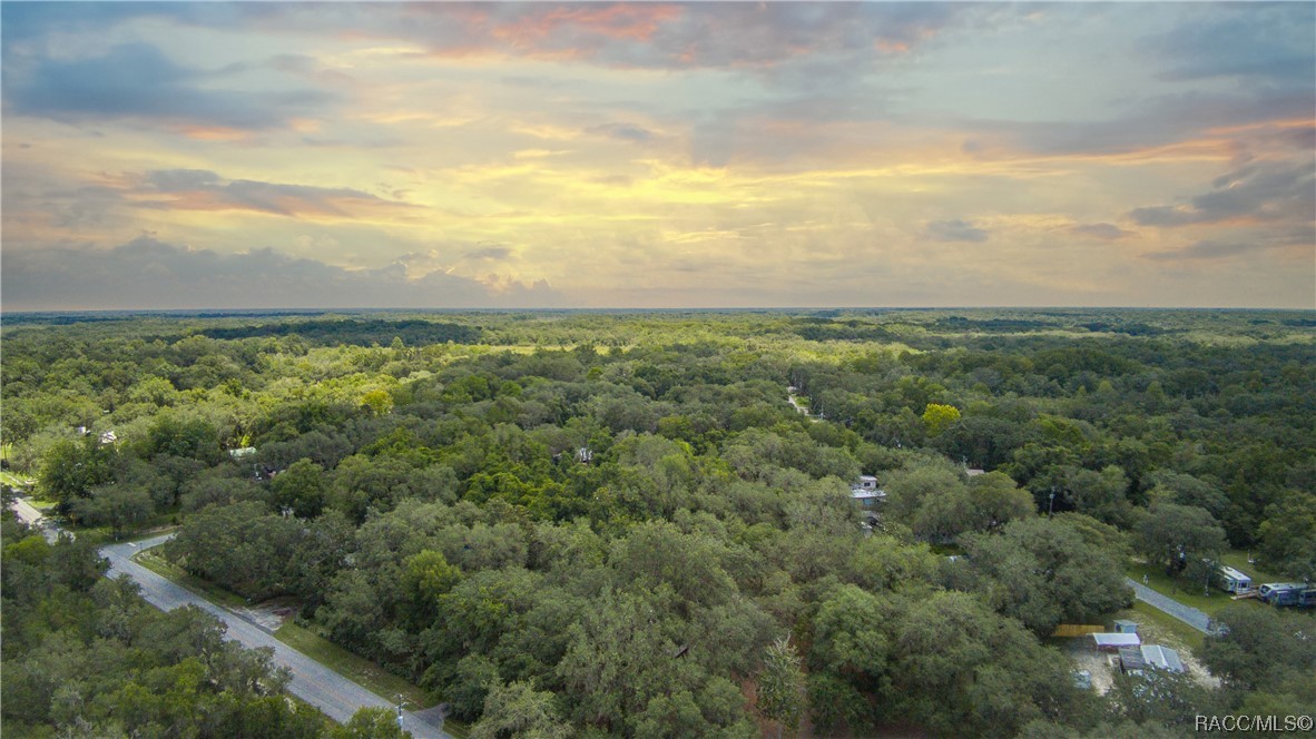 6911 S Withlapopka Drive