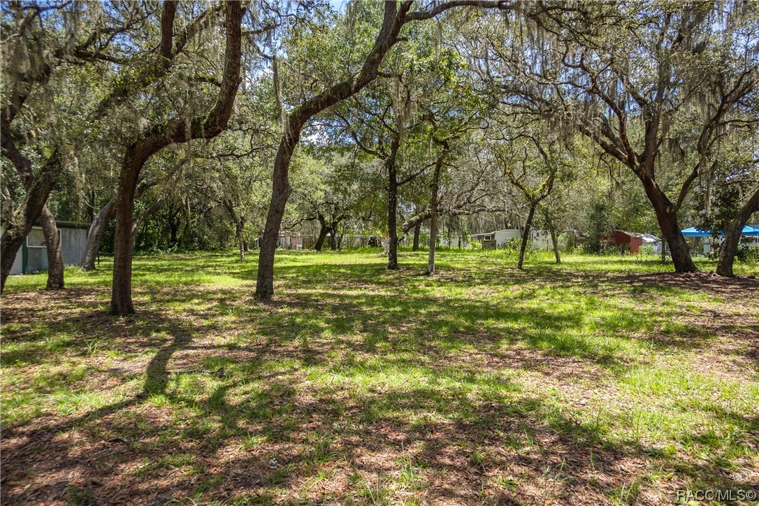 6911 S Withlapopka Drive