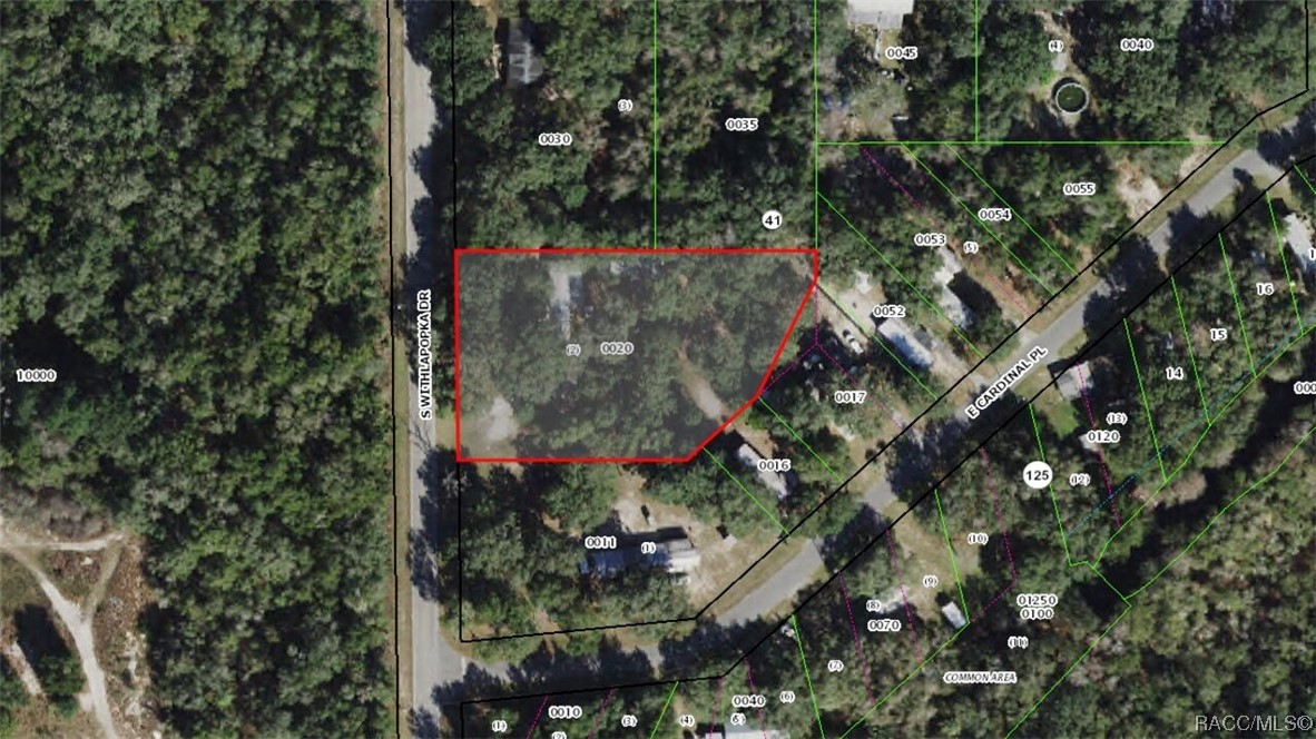 6911 S Withlapopka Drive