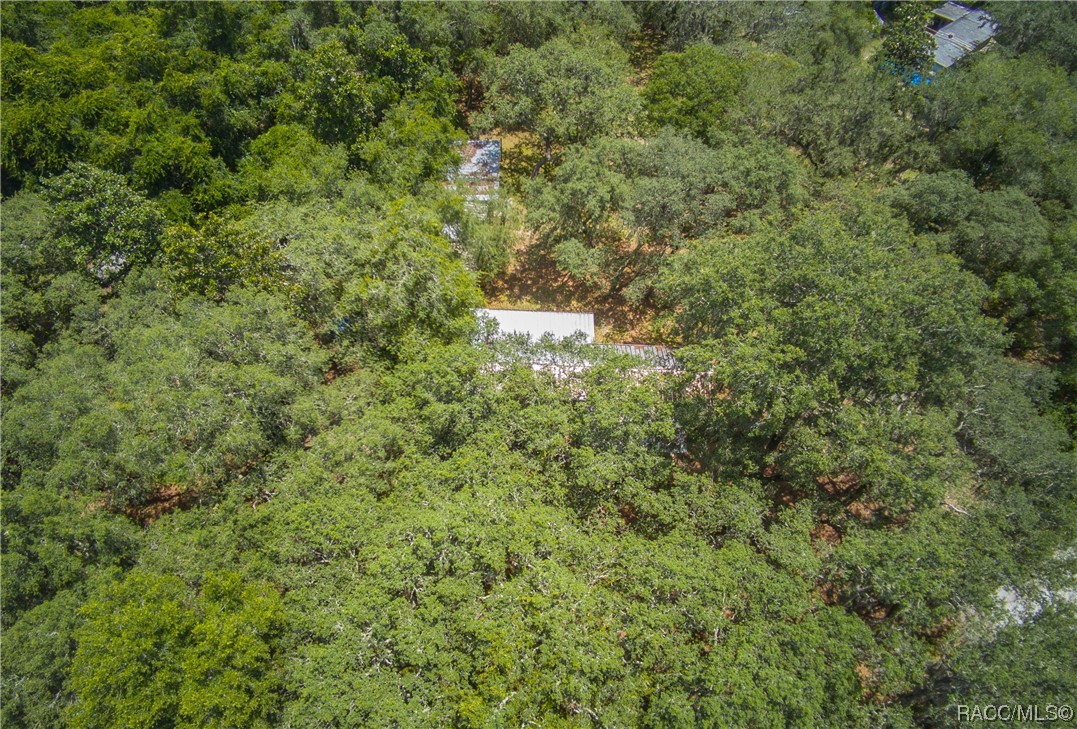 6911 S Withlapopka Drive