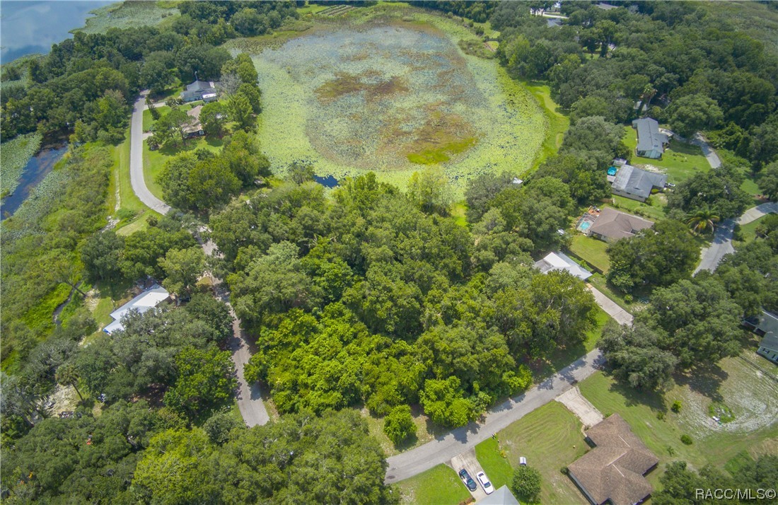 12 N Shadow Wood Drive