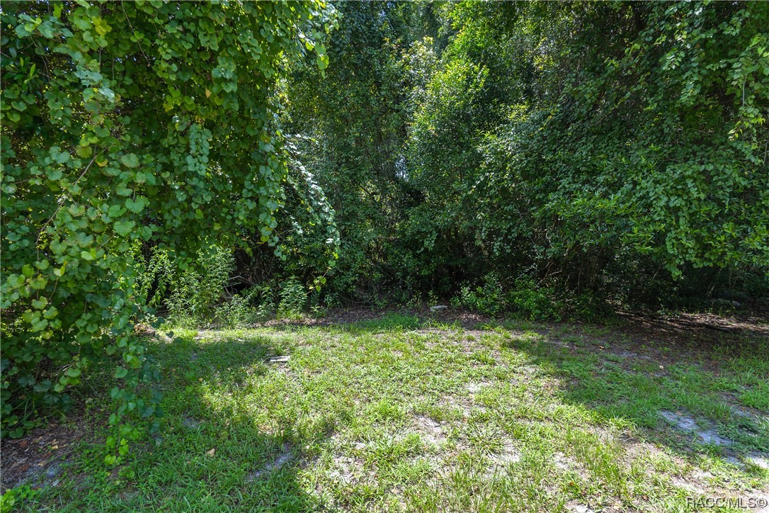 12 N Shadow Wood Drive