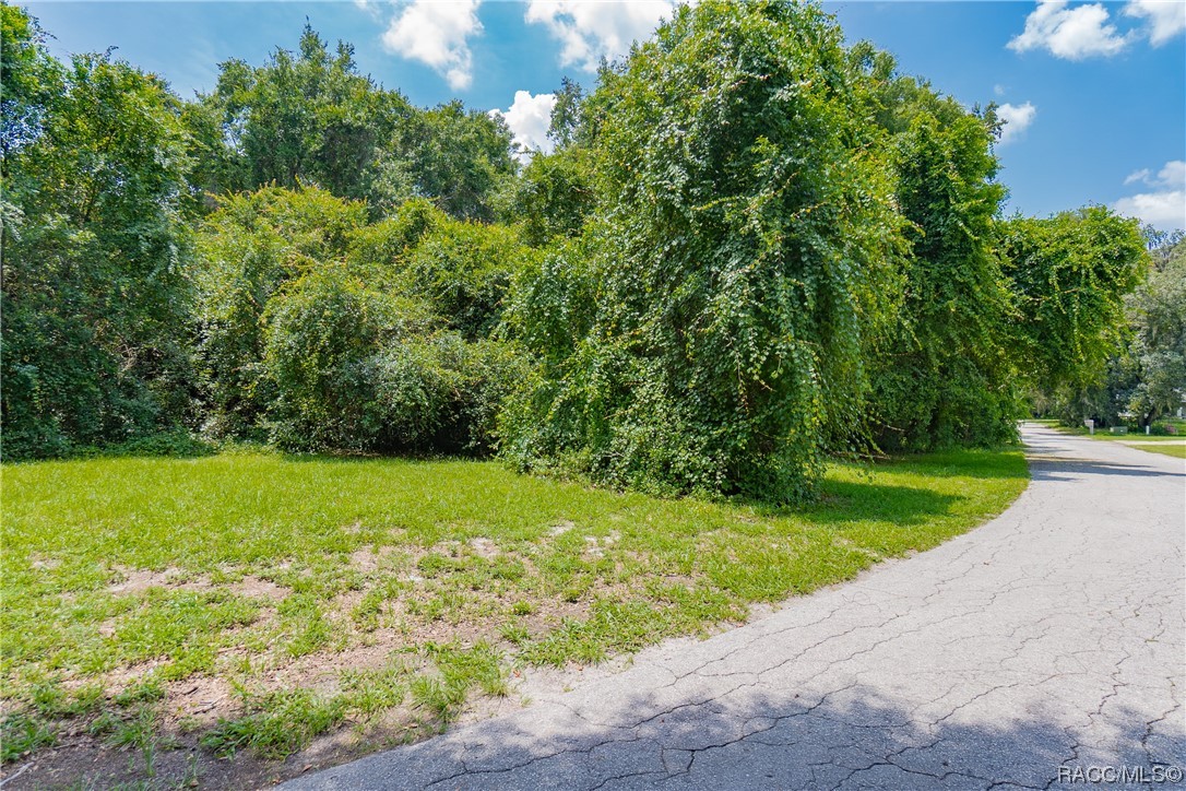 12 N Shadow Wood Drive