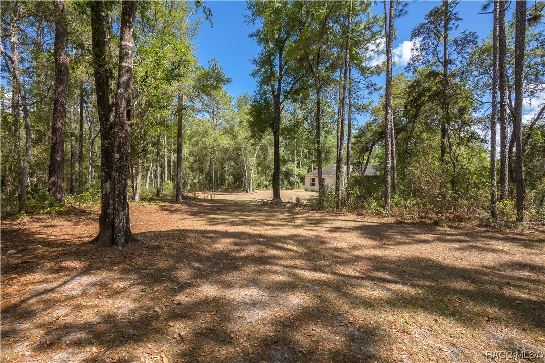 10068 N Athenia Drive