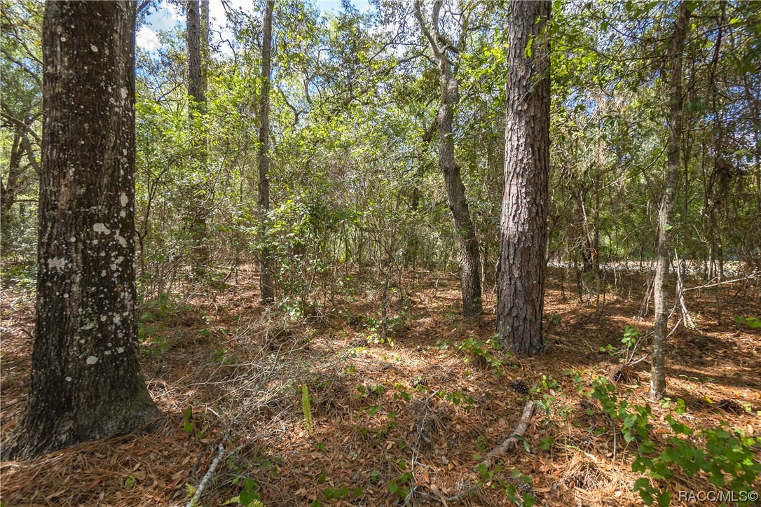 10068 N Athenia Drive