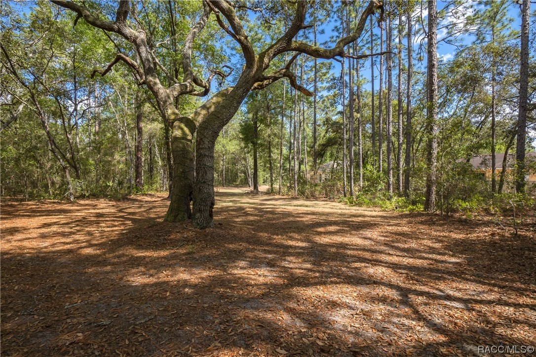 10068 N Athenia Drive