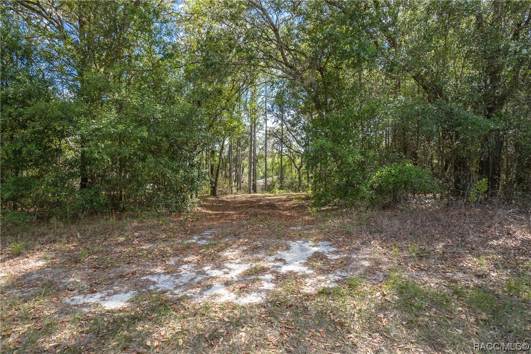 10068 N Athenia Drive