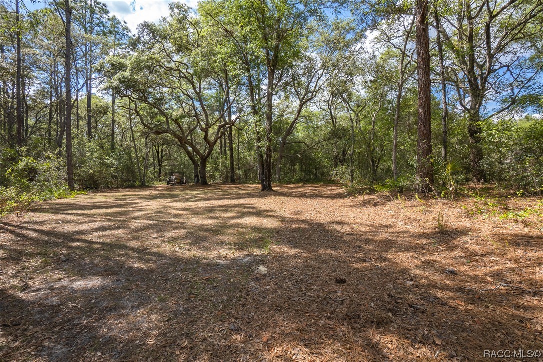 10068 N Athenia Drive