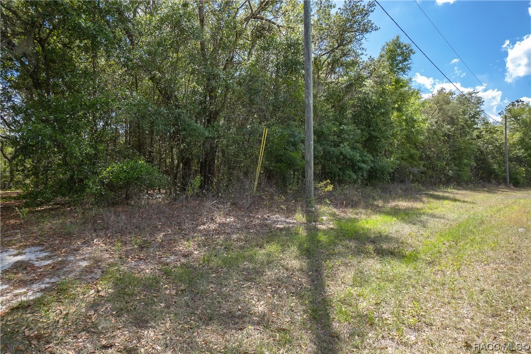 10068 N Athenia Drive