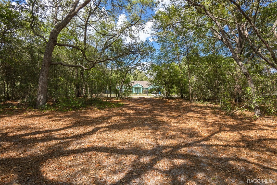 10068 N Athenia Drive