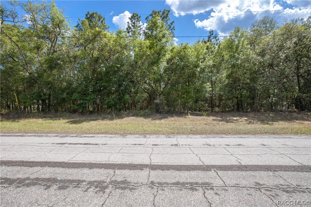 10068 N Athenia Drive