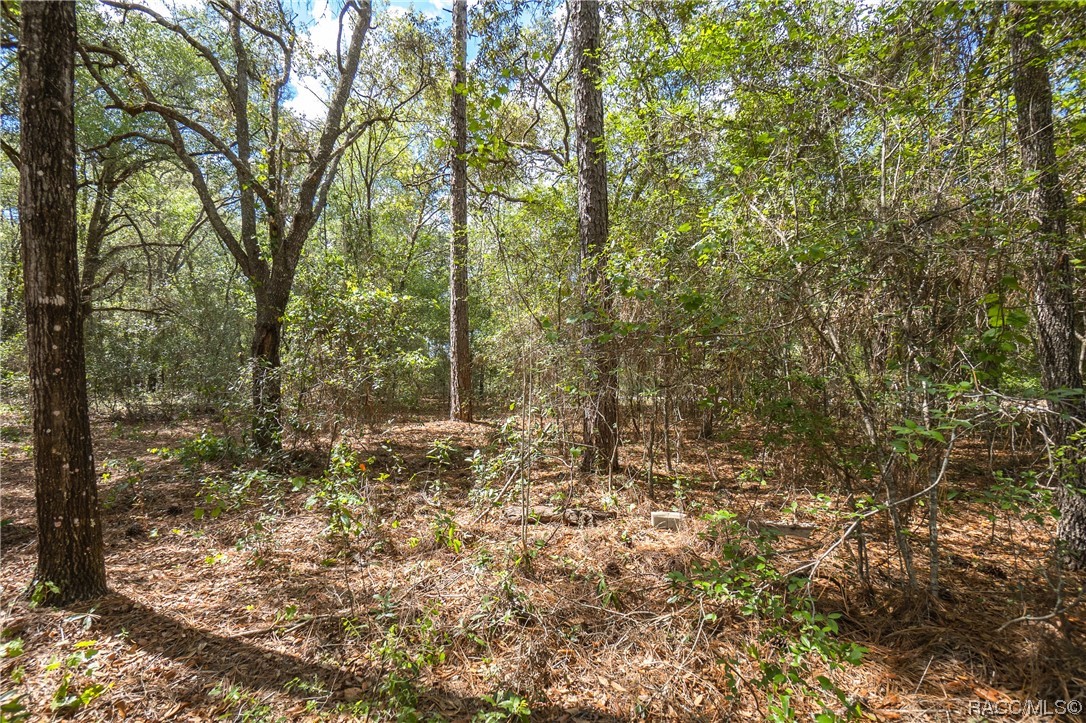 10072 N Athenia Drive