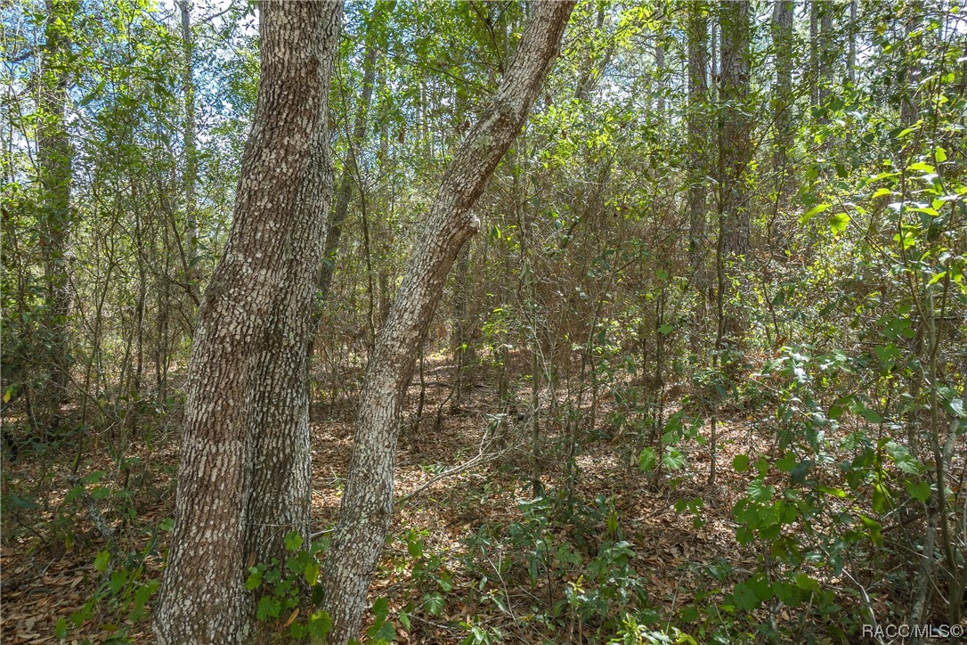 10072 N Athenia Drive