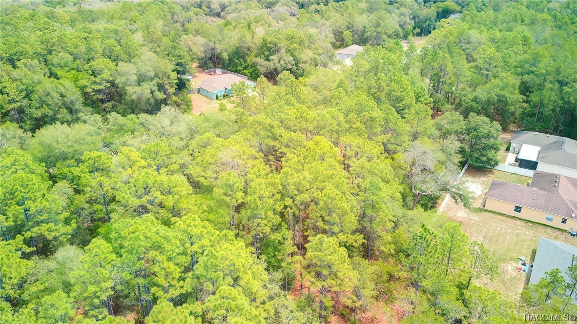 10072 N Athenia Drive