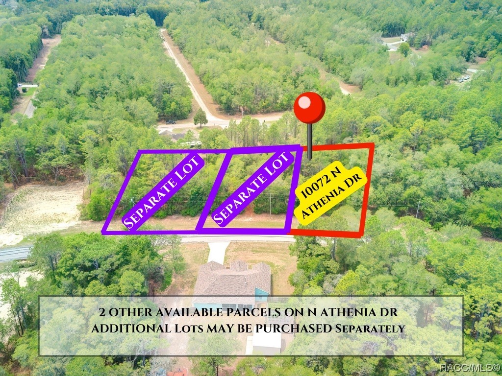 10072 N Athenia Drive