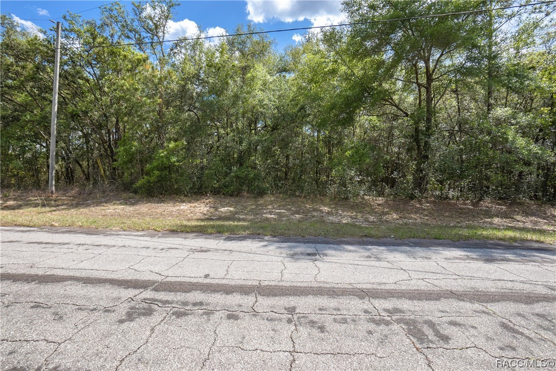 10072 N Athenia Drive