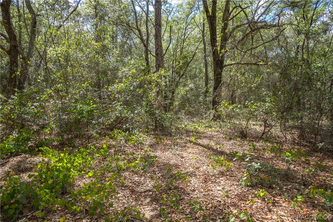 10072 N Athenia Drive