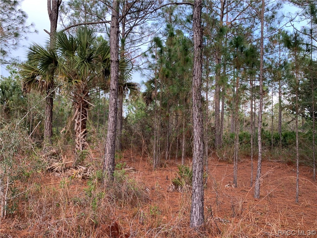 00 SW 103rd Court