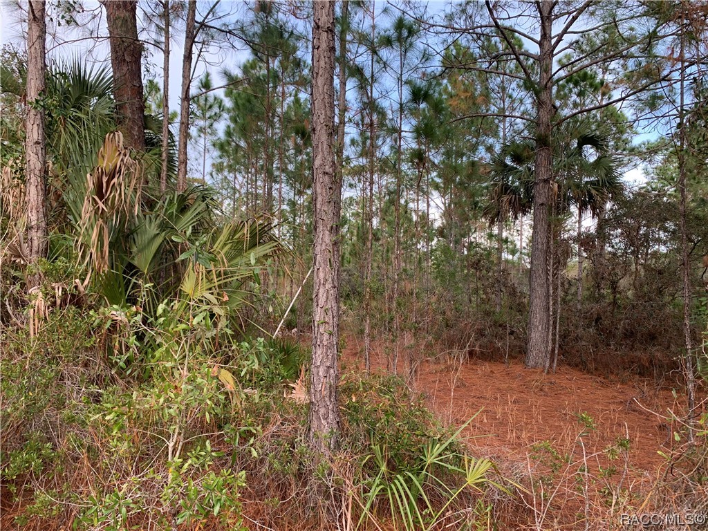 00 SW 103rd Court