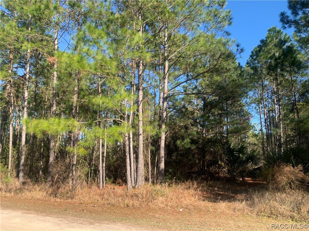 00 SW 125th Avenue