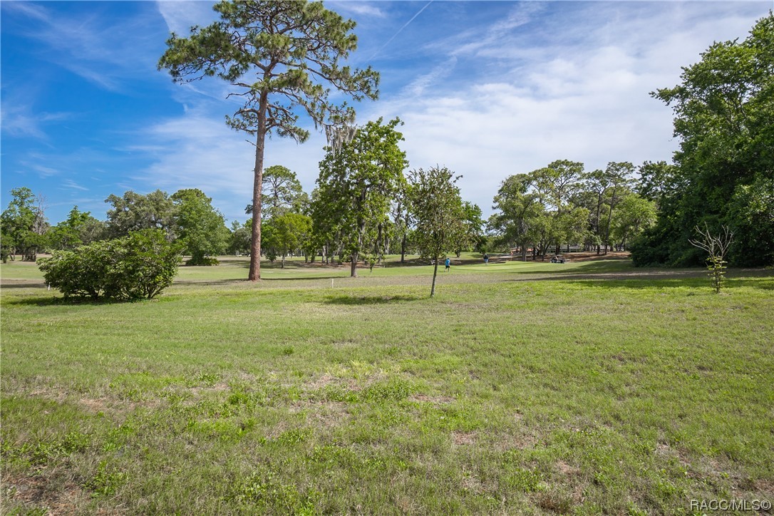 38 Speceberry Circle